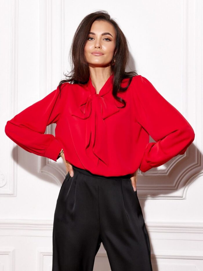 Elegant Puff Sleeve Blouse with Decorative Cuffs and Neck Tie (204895) lomora.store