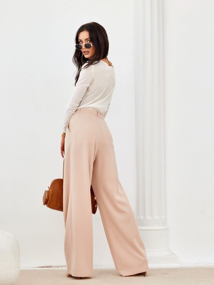 Elegant High-Waisted Wide Leg Trousers with Pockets and Pleats (206984) lomora.store